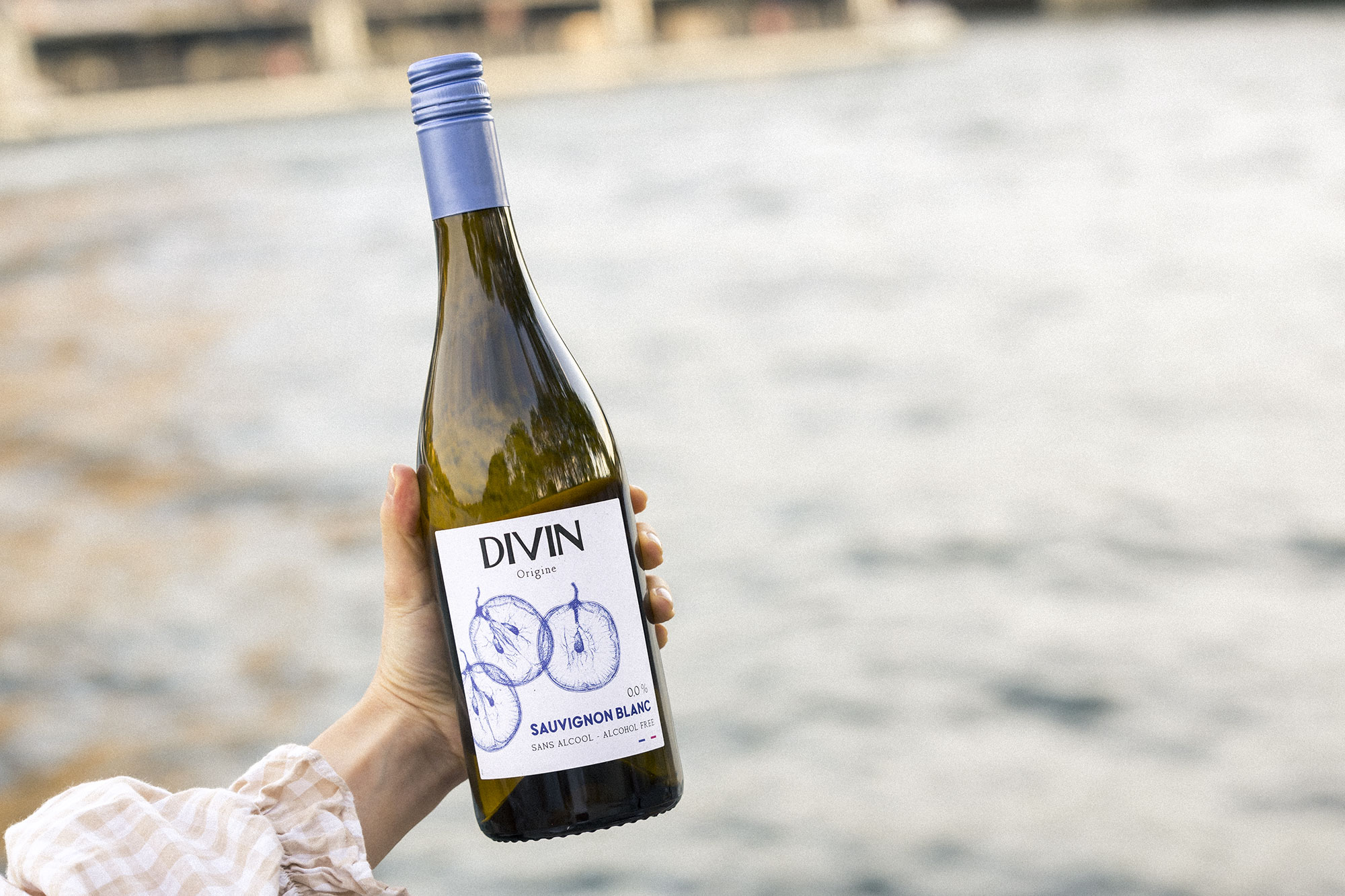 Sauvignon Blanc Divin Origine Seine 1