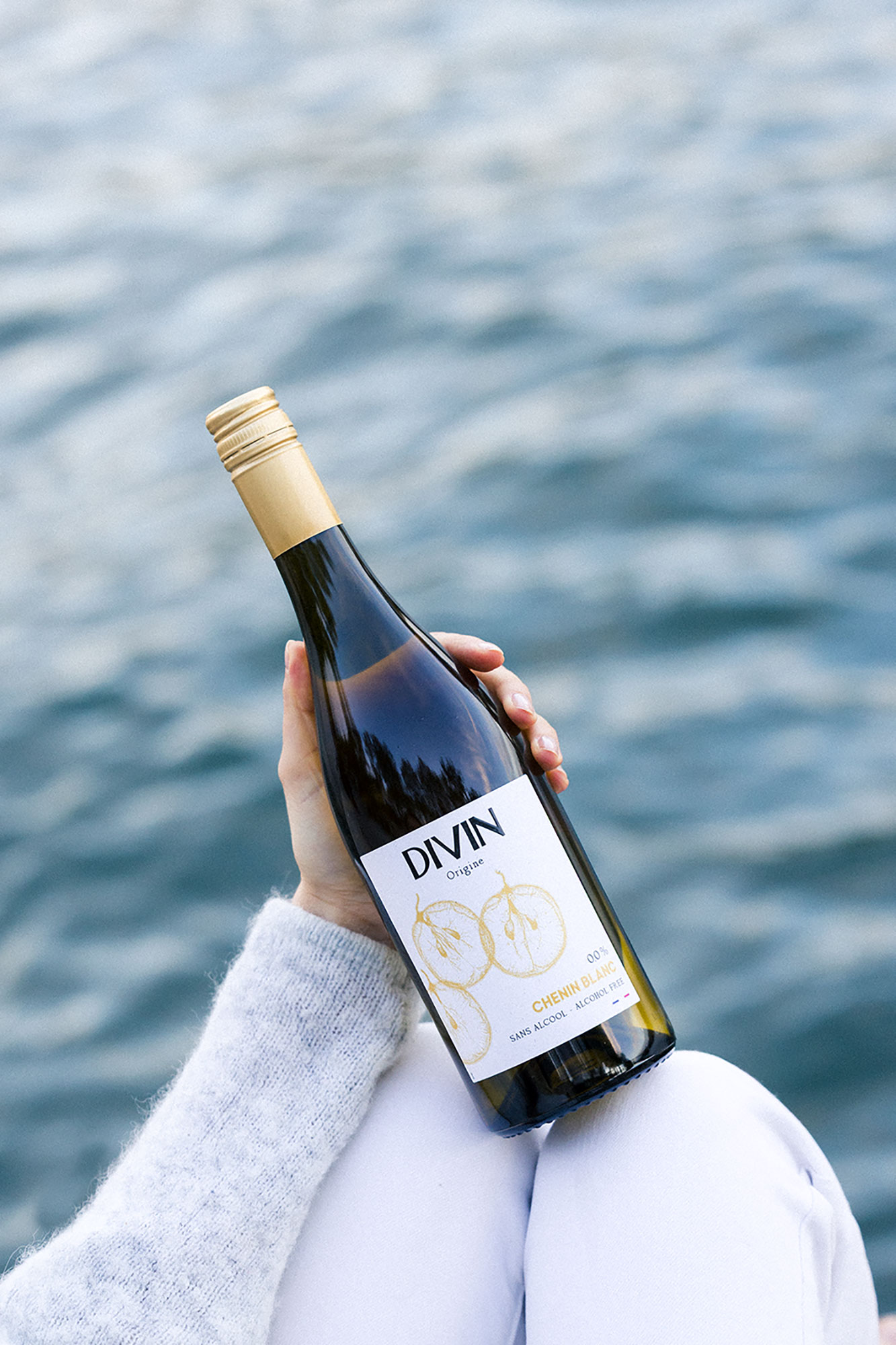 Chenin Blanc Divin Origine Seine 2