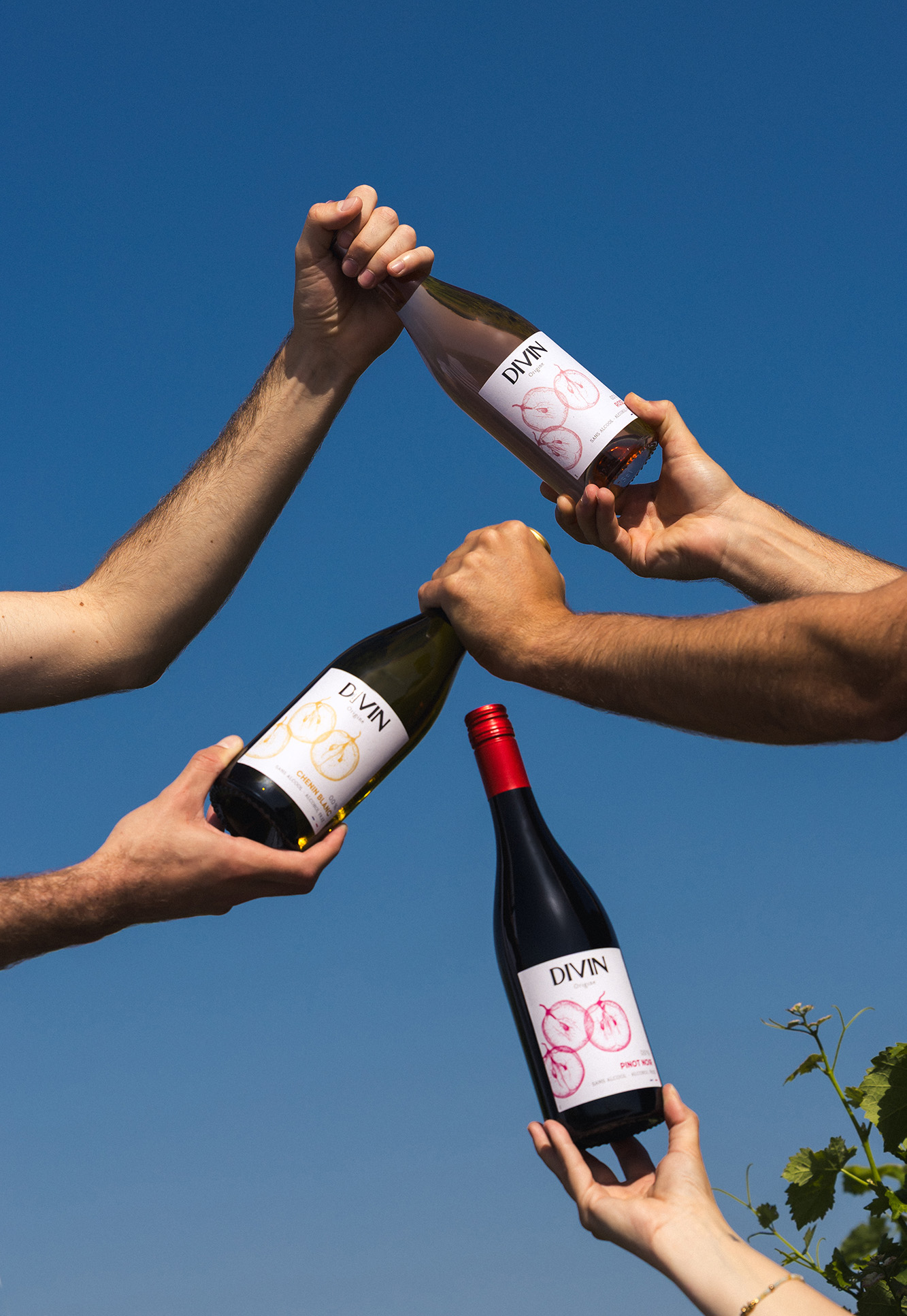 Divin Origine mix vineyard 1