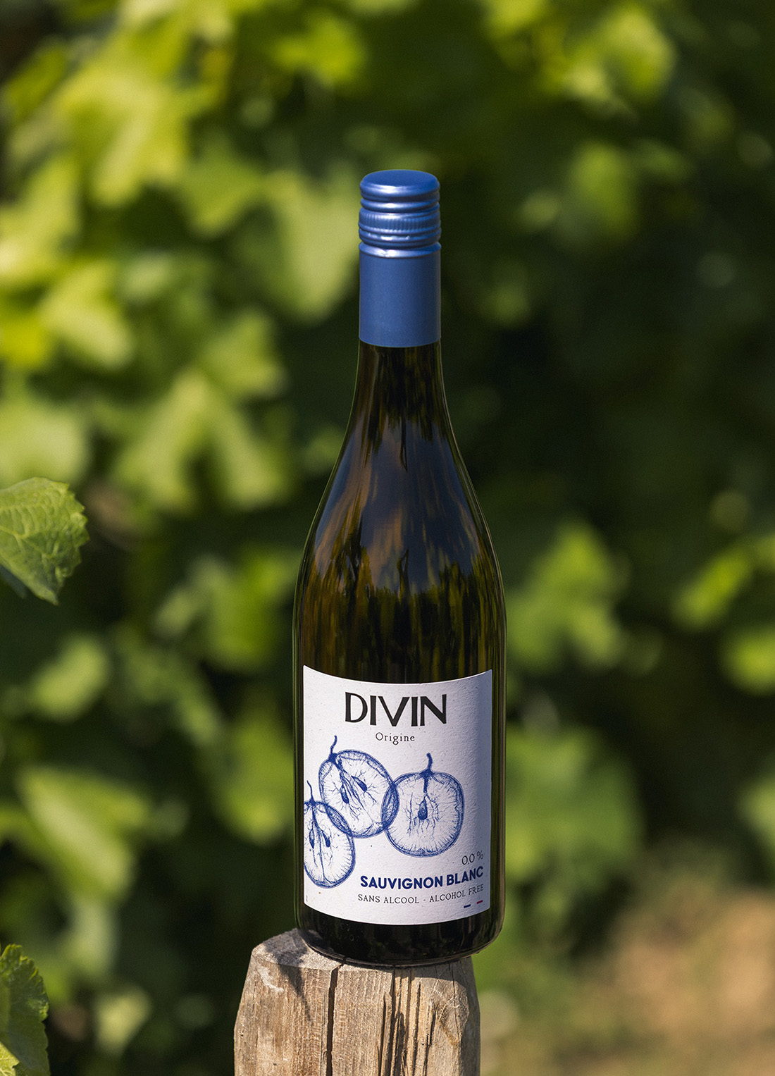 Sauvignon Blanc Divin Origine Vineyard 1