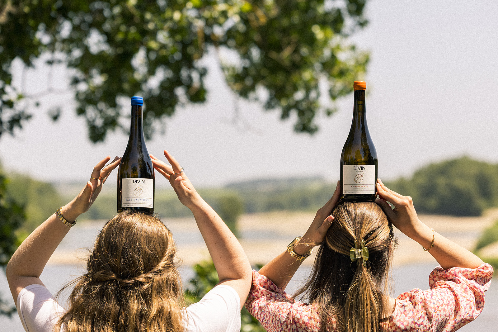 Sauvignon Blanc and Chardonnay Divin Vigneron Loire