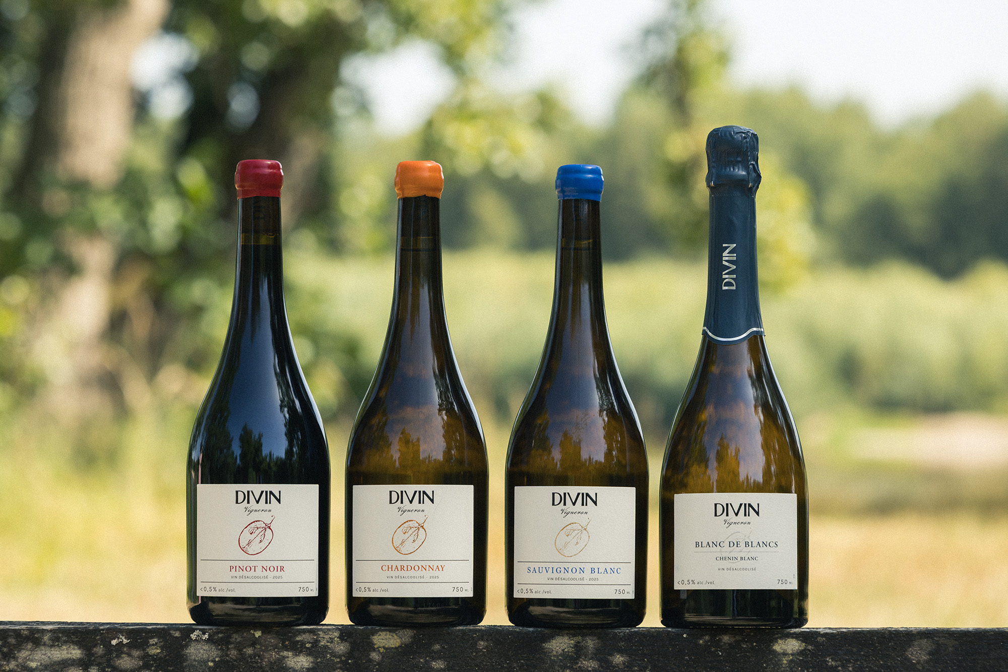 Divin Vigneron Full Range Loire 1